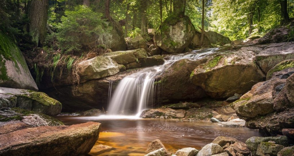 stream waterfall in woodland setting